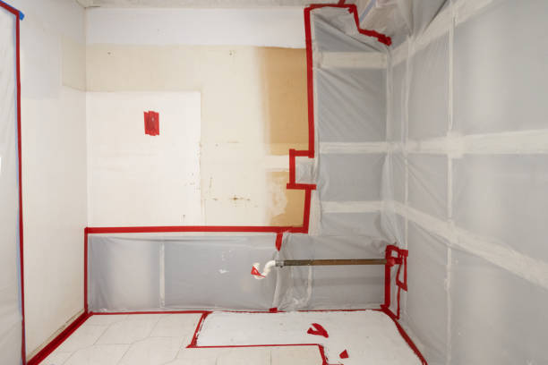Best Mold Remediation for Healthcare Facilities  in Valparaiso, FL