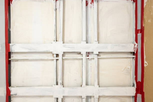 Best Mold Documentation for Insurance Claims  in Valparaiso, FL