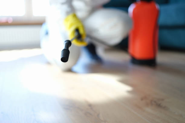 Best Air Quality Testing for Mold Spores  in Valparaiso, FL