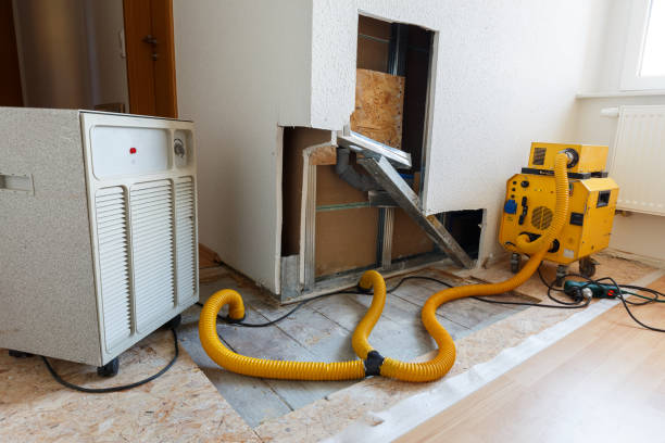 Reliable Valparaiso, FL Mold Removal Solutions