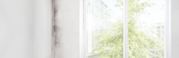 Best Indoor Air Quality Assessment  in Valparaiso, FL